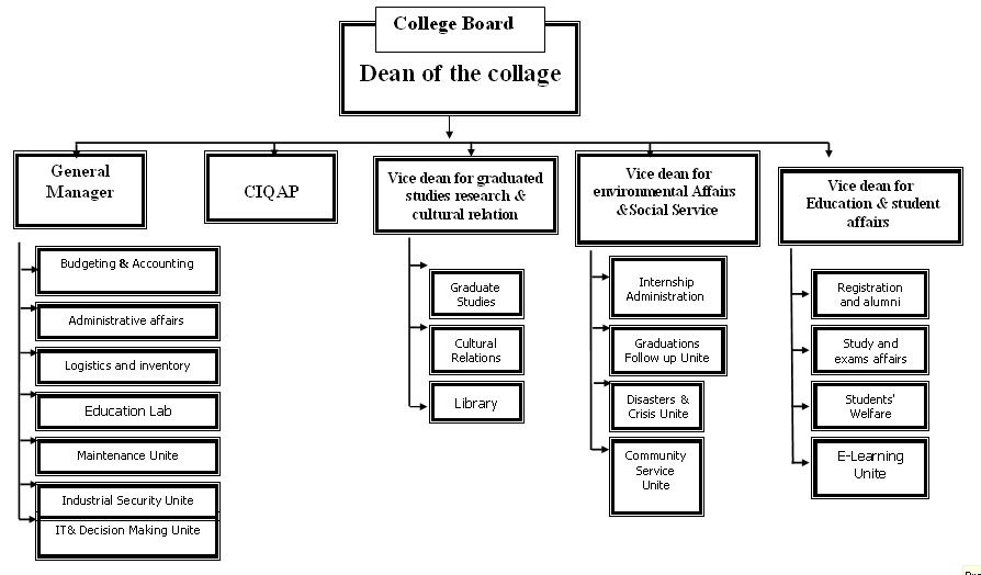 Organizational Structure